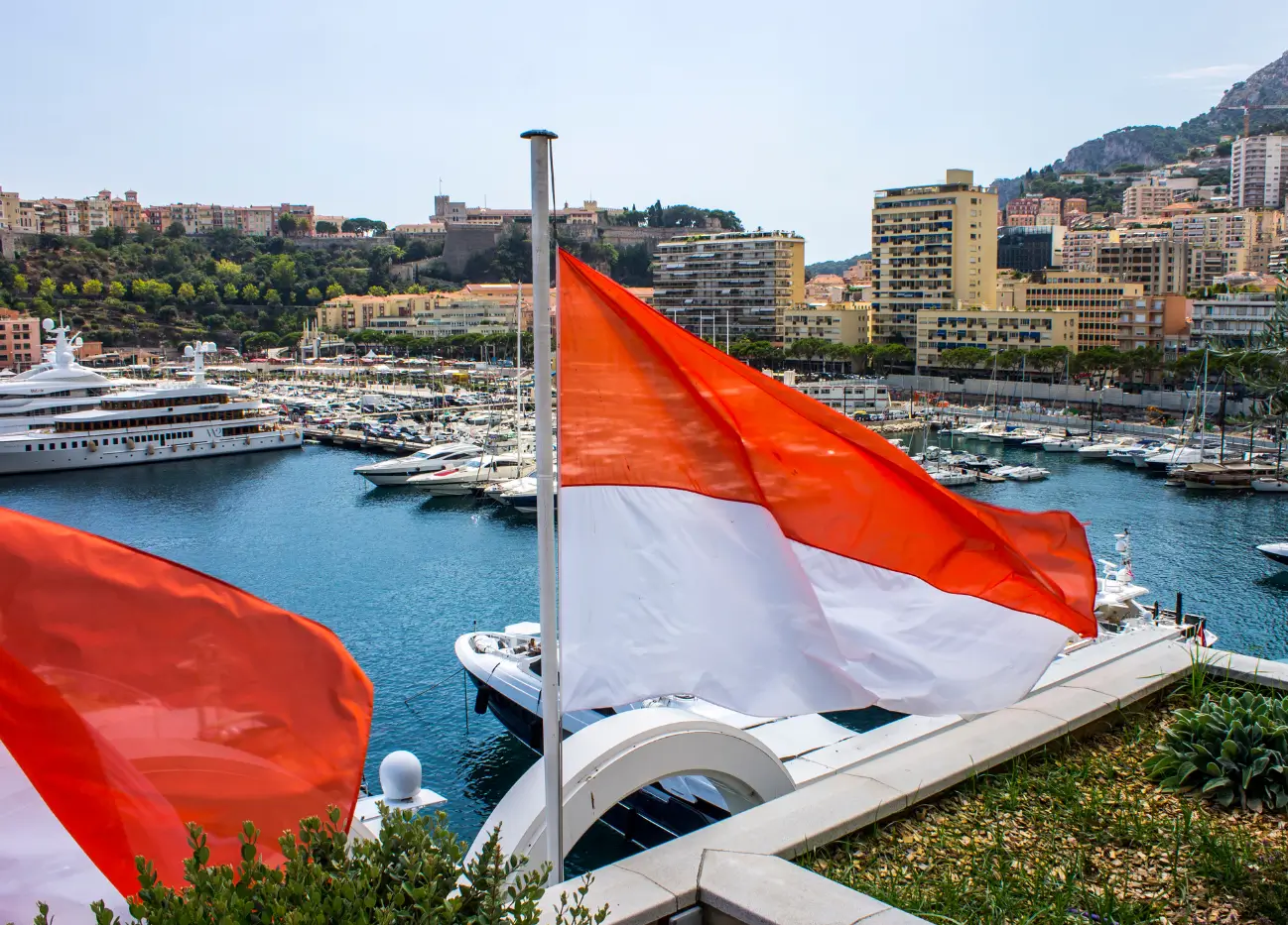 Monte Carlo