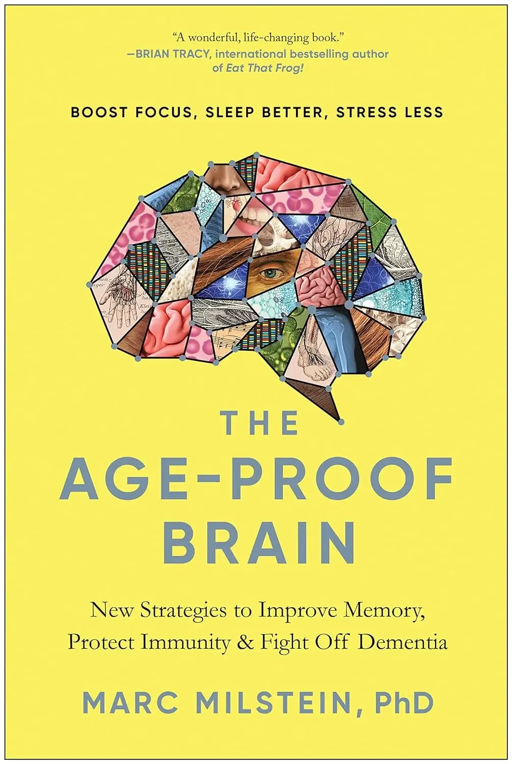 Marc Milstein - The Age-Proof Brain book cover