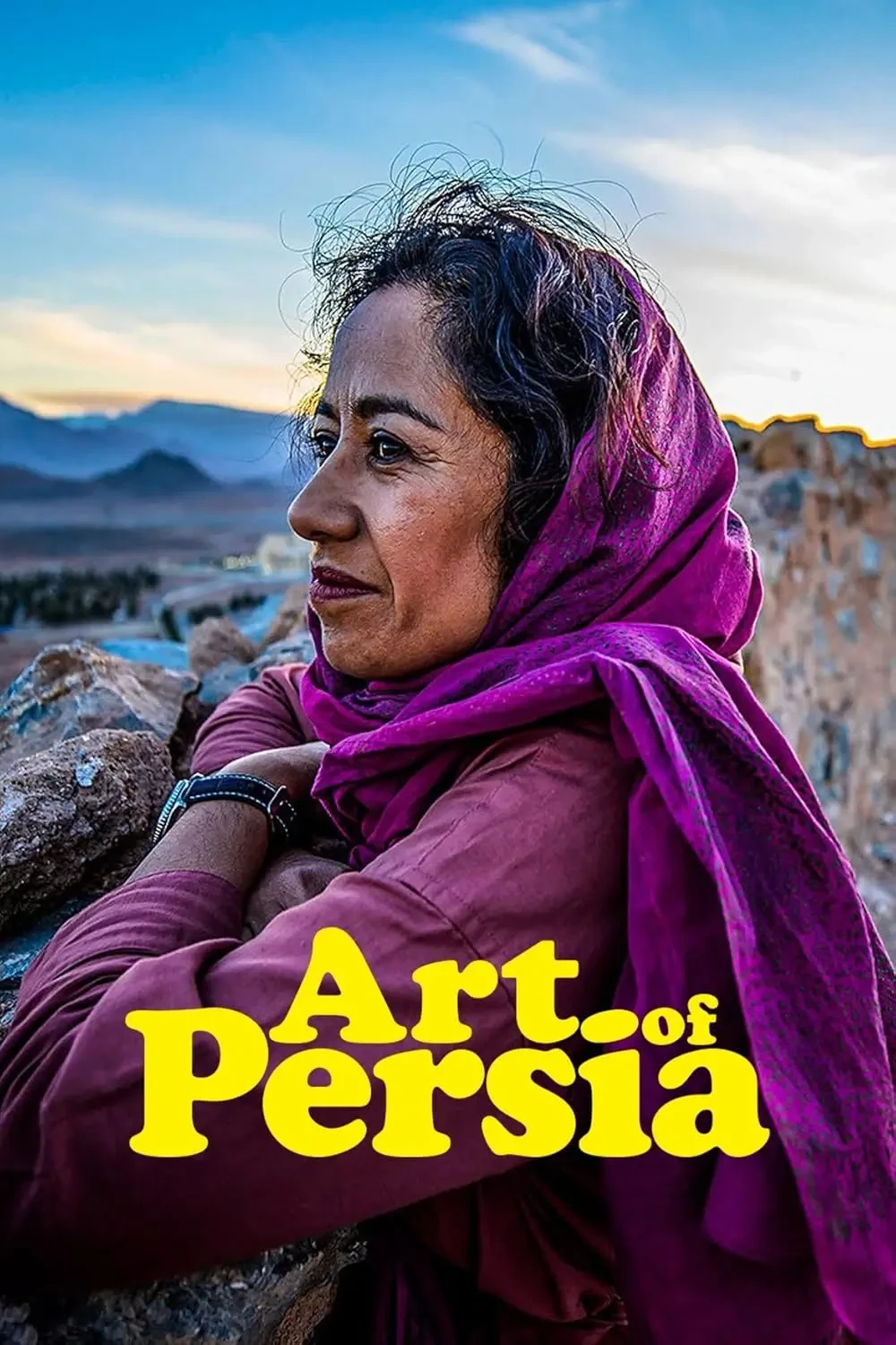 Samira Ahmed - Art of Persia book cover