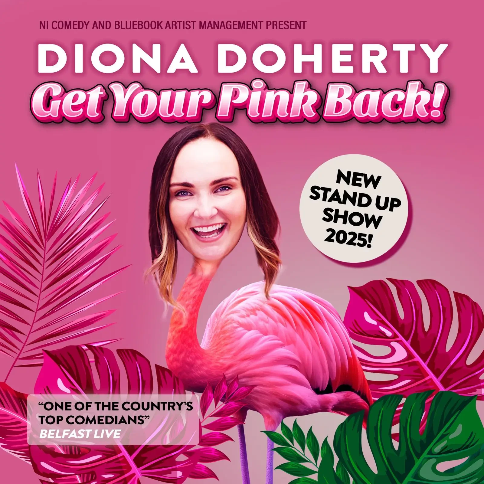 Diona Doherty - Get Your Pink Back book cover