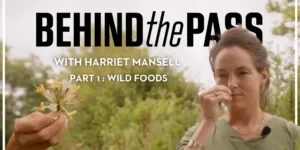 Harriet Mansell - Great British Chefs Behind The Pass book cover