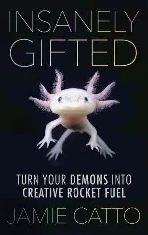 Jamie Catto - Insanely Gifted book cover