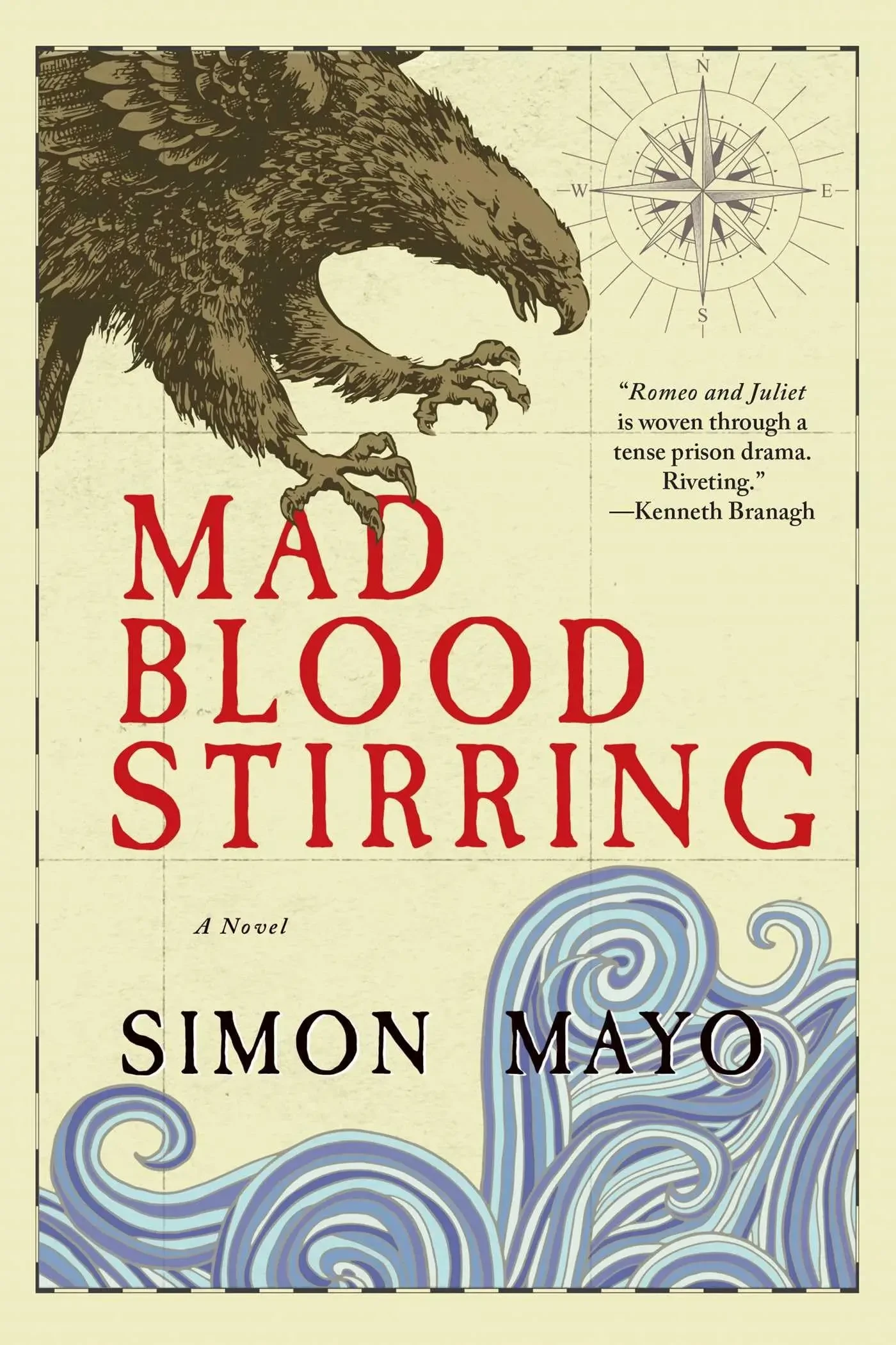 Simon Mayo - Mad Blood Stirring book cover