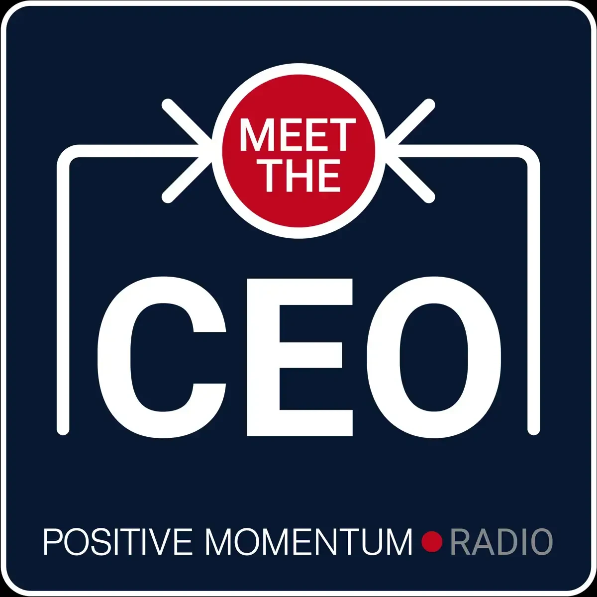 Julian March - Meet The CEO book cover