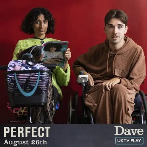 Laurence Clark - Perfect book cover