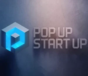 Rita Clifton - Pop Up Start Up book cover