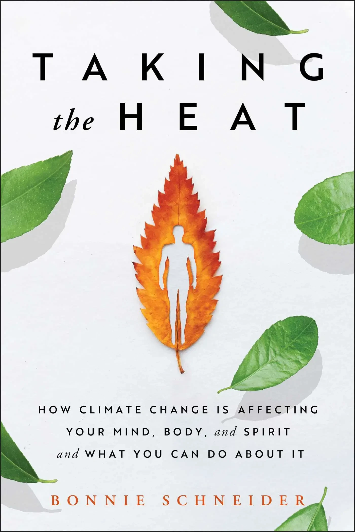 Bonnie Schneider - Taking The Heat book cover