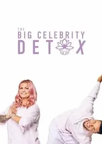 Elle Daniel - Big Celebrity Detox book cover