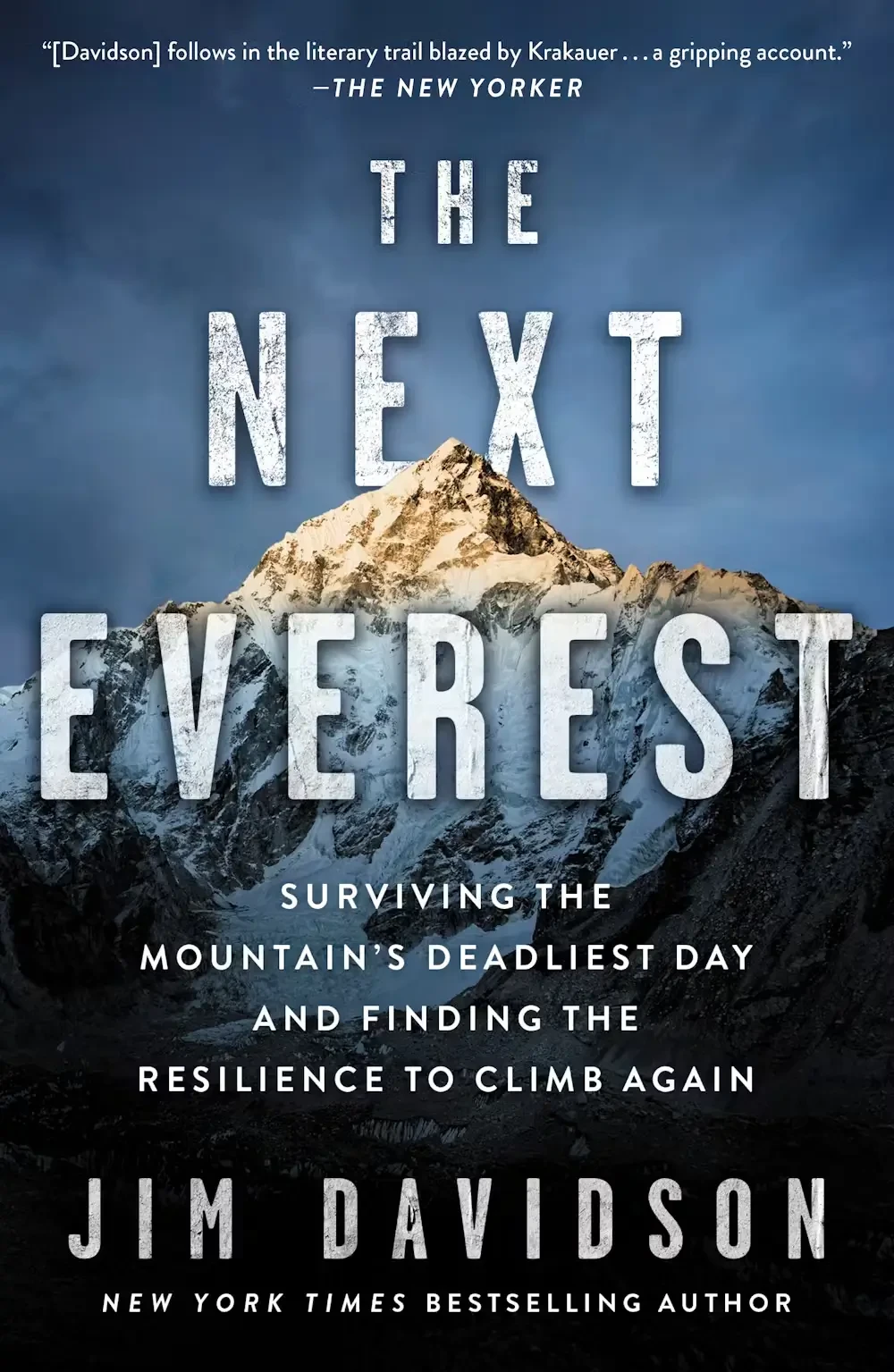 Jim Davidson - The Next Everest book cover