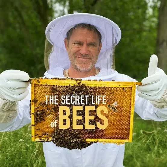 The Secret Life of Bees