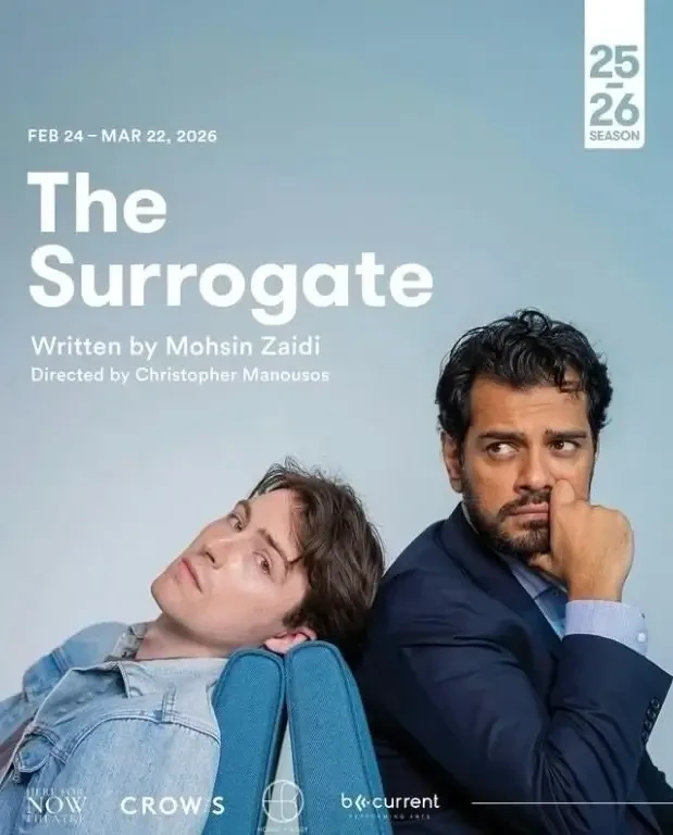 Mohsin Zaidi - The Surrogate book cover