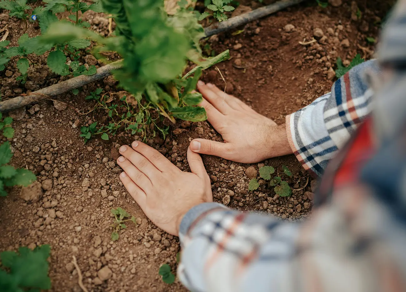 Hire Environmentalist Speakers for Your Event