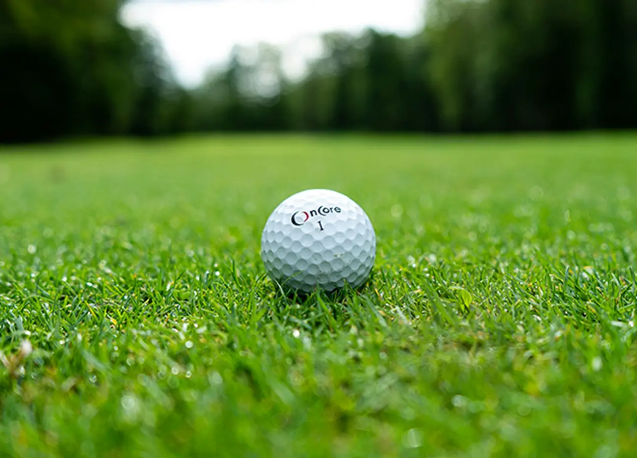 Golf Speakers | Book Expert Voices | PepTalk