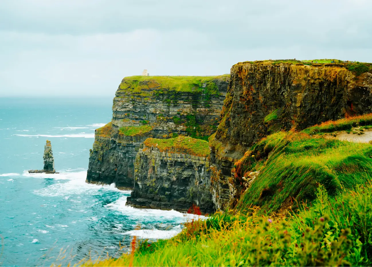 Book Keynote Speakers in Ireland | Local Event Experts