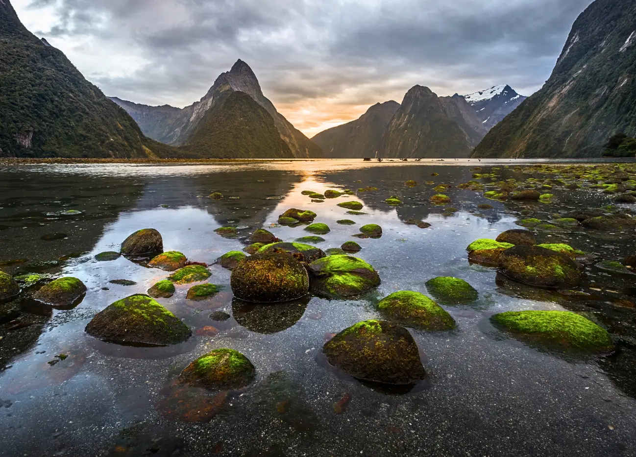 Book Keynote Speakers in New Zealand | Expert Guide
